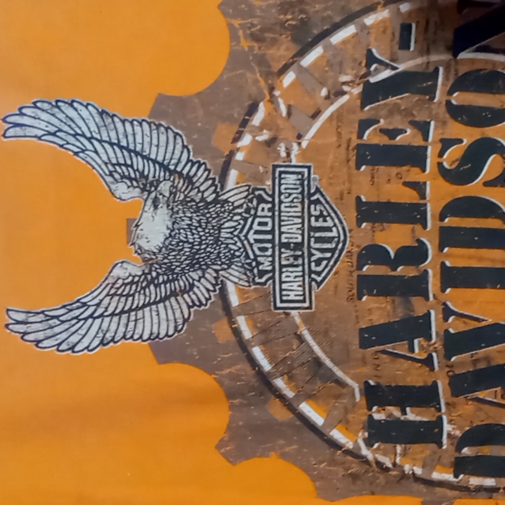 Harley-Davidson Shirt - Picture 4 of 7